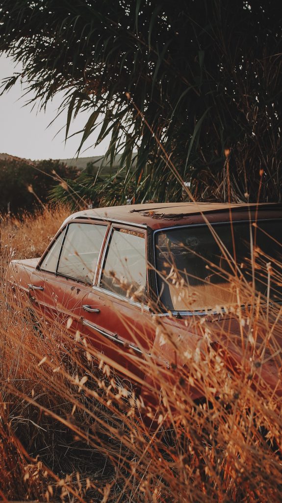 Red old car in weeds